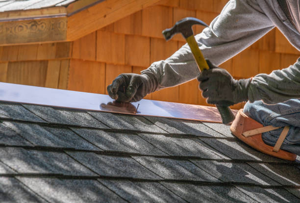Best Gutter Installation and Repair  in Tanaina, AK