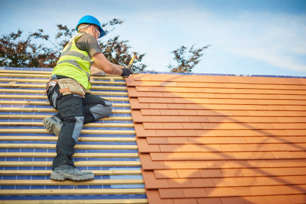 Best Asphalt Shingle Roofing  in Tanaina, AK